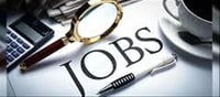 💼 Career: Before Starting Your First Job, Find Out These 5 Things